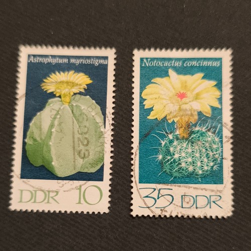 Ddr briefmarken satz kakteen - ddr,