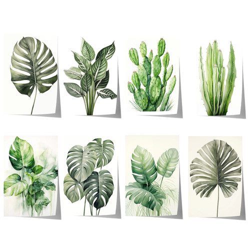 Botanik poster monstera - botanik,