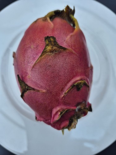 Drachenfrucht pitahaya 60 - ca.,