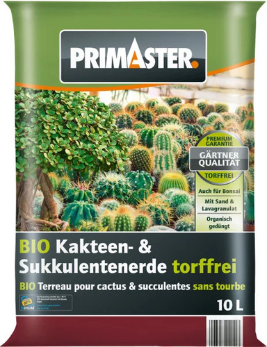 Primaster kakteen - primaster, &
