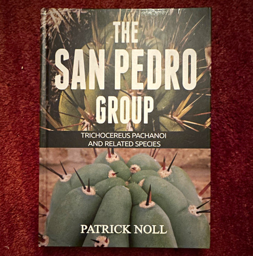The san pedro group - pedro,